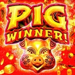 Pig Winner